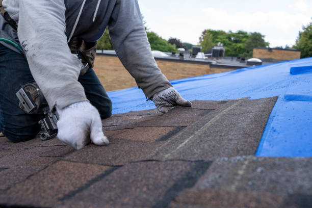 Best Local Roofing Companies  in Owens Cross Roads, AL